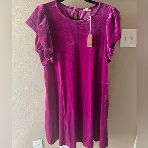 Magenta Velvet Flutter Sleeve Dress by JODIFL